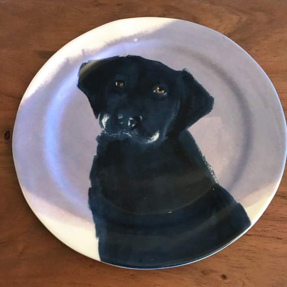 Anthropologie/SallyMuirDog-A-Day Plates - Red - Picture 6 of 14
